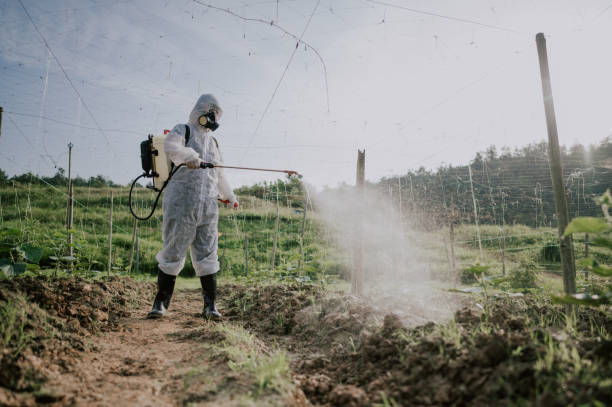 Best Best Pest Control Companies  in Swisher, IA