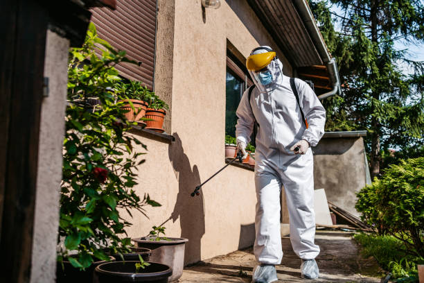 Best Wasp Removal Services  in Swisher, IA