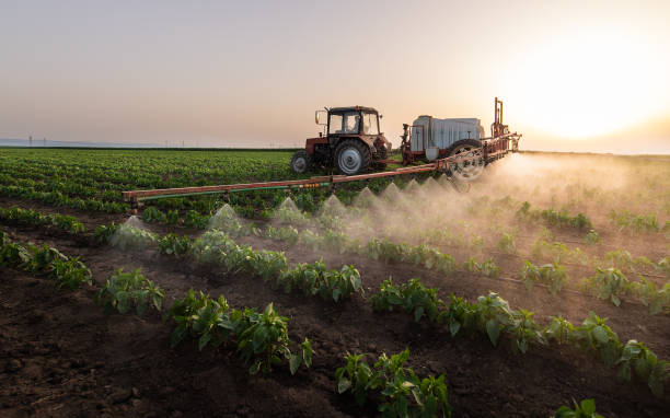Pest Prevention Services in Swisher, IA