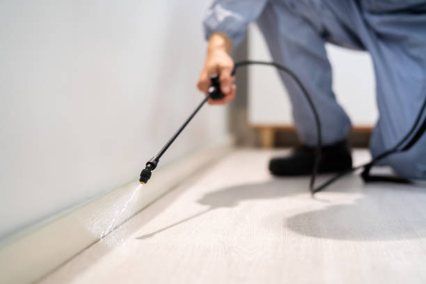 Best Flea Control Services  in Swisher, IA