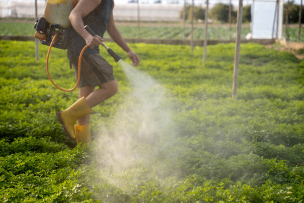 Best Affordable Pest Control Services  in Swisher, IA