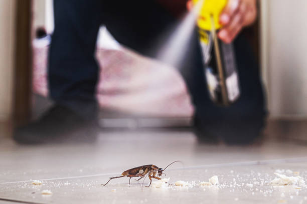 Best Mosquito Control Services  in Swisher, IA